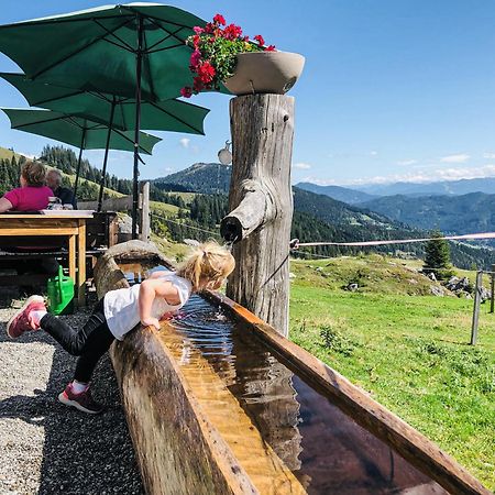 Hotel-Restaurant Bike&Snow Lederer Mühlbach am Hochkönig Kültér fotó