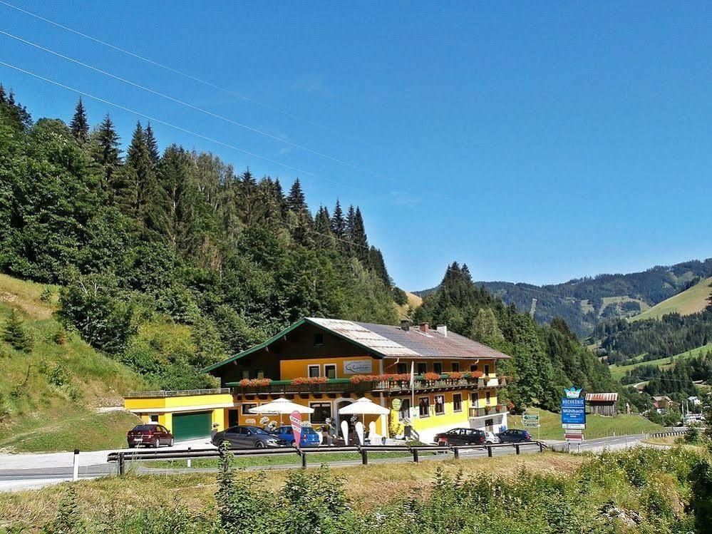 Hotel-Restaurant Bike&Snow Lederer Mühlbach am Hochkönig Kültér fotó