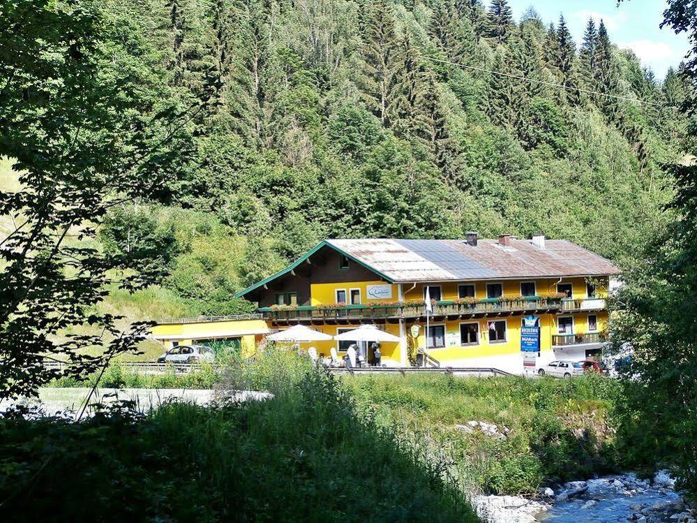Hotel-Restaurant Bike&Snow Lederer Mühlbach am Hochkönig Kültér fotó